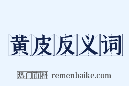 黄皮反义词是什么意思的图片